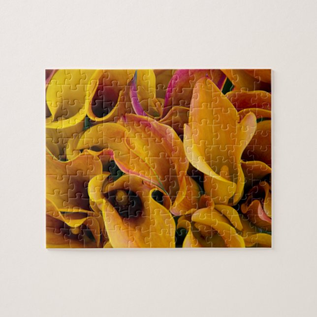 Helle, farbenfrohe Calla-Lilien Puzzle (Horizontal)