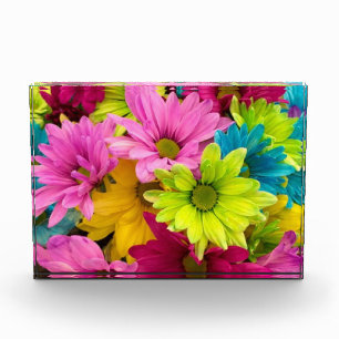 HELLE, FARBHAFTE BLUME FOTOBLOCK