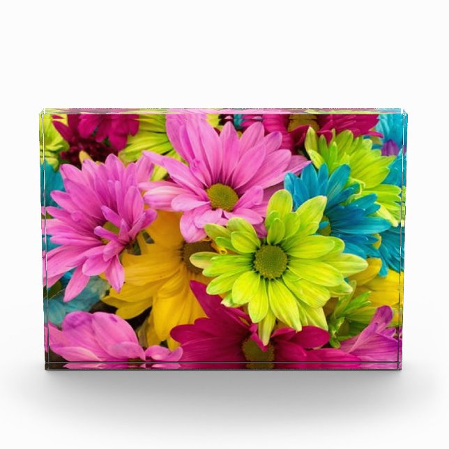 HELLE, FARBHAFTE BLUME FOTOBLOCK (Vorderseite)