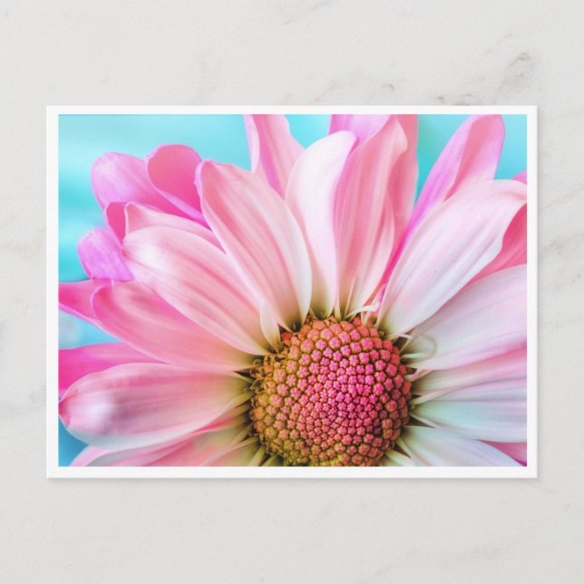Helle Floral Delight Postkarte (Vorderseite)