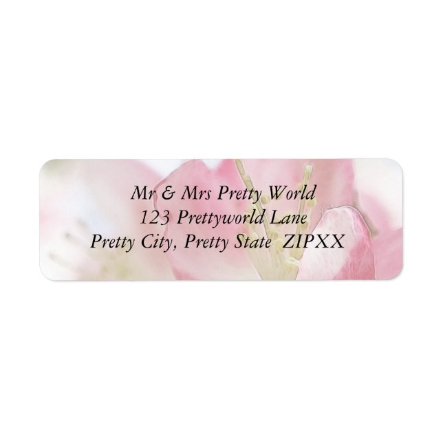 Helle Frühlingsapfel blüht (Vorne)