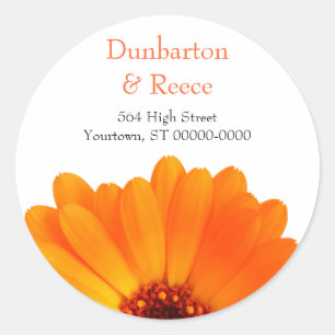 Helle Gänseblümchen-Aufkleber Runder Aufkleber