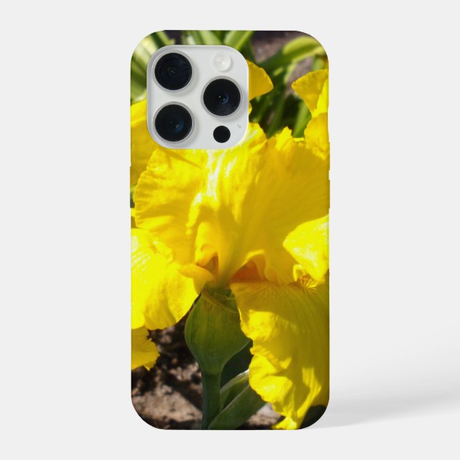 Helle gelbe Schwertlilie, iPhone Hülle (Rückseite)