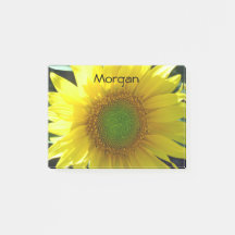 Helle gelbe Sonnenblume