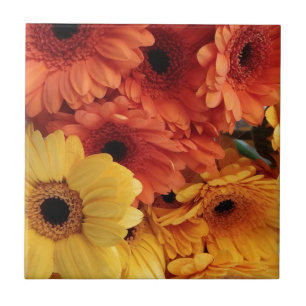 Helle Gerbera-Blume, Orangengelb, Flora Fliese