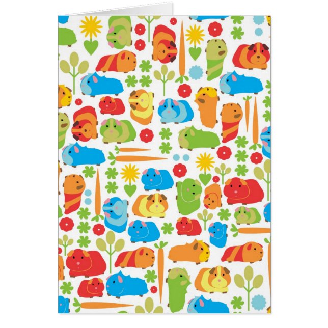 Helle Guinea Schweinepest (Vorne)