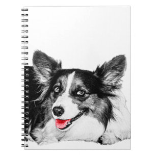 Helle Ideen mit einem frechen Corgi Notizblock