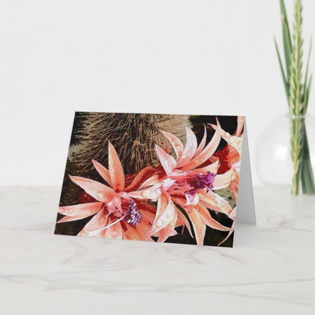 helle Kaktus-Blume Feiertagskarte (Vorderseite)