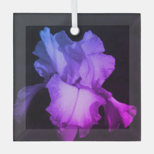 Helle Lila Iris Foto Keramik Ornament Aus Glas