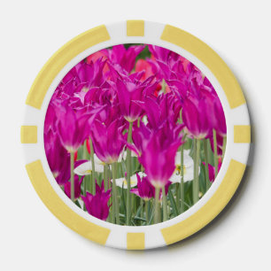 Helle Lila rosa Stellen Pokerchips