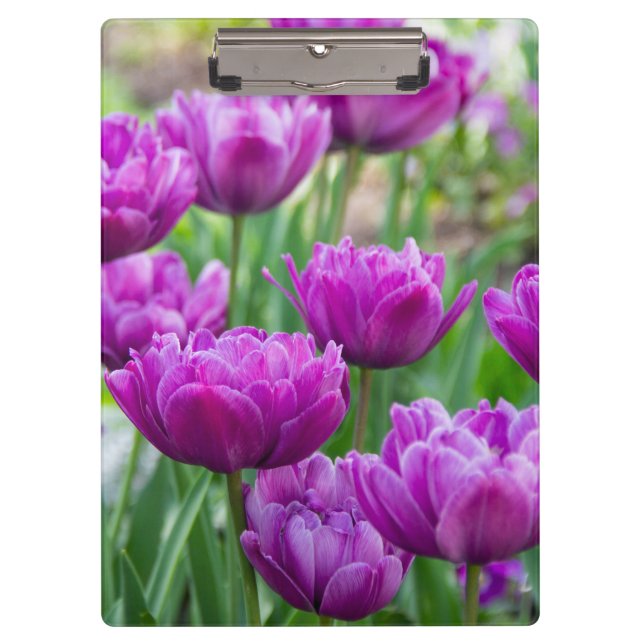 Helle Limettenwulst an einem sonnigen Tag Klemmbrett (Vorderseite)