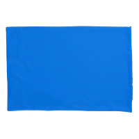 Helle Navy Blue Solid Schlicht Color