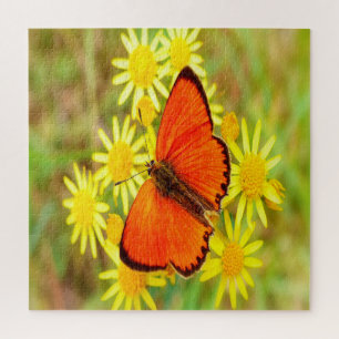 Helle Orange Butterfly Gelbe Blumen Puzzle