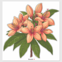 Helle Orange Hibiskusblumenstrauß