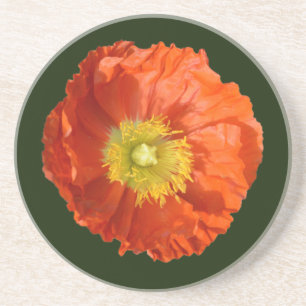 Helle Orange Poppy Blume Getränkeuntersetzer