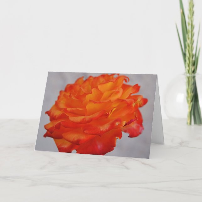 Helle Orange Rose Blume Art Note Card Karte (Vorderseite)