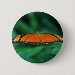 Helle Orange und schwarze Schmetterlinge auf der l Button