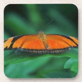 Helle Orange und schwarze Schmetterlinge auf der l Getränkeuntersetzer