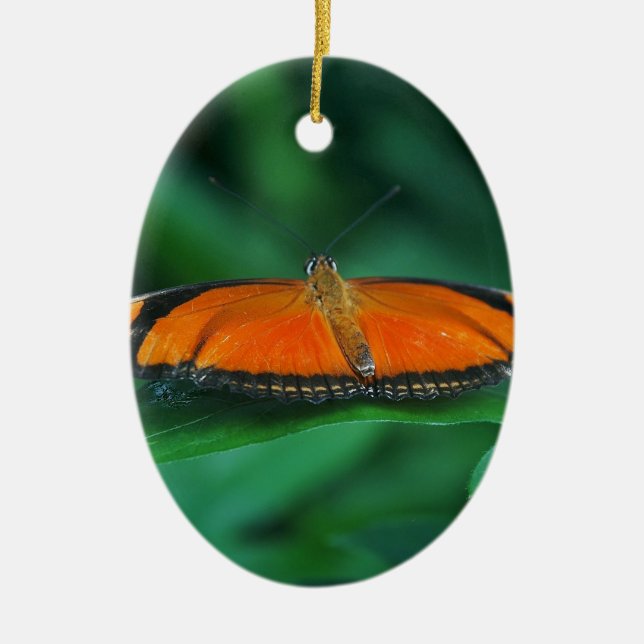 Helle Orange und schwarze Schmetterlinge auf der l Keramik Ornament (Vorne)