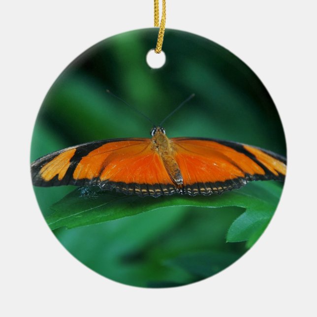 Helle Orange und schwarze Schmetterlinge auf der l Keramikornament (Vorne)