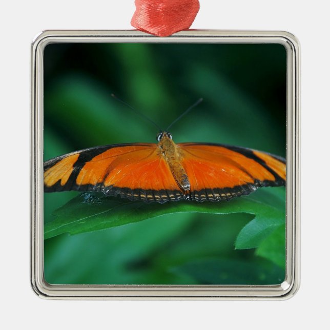 Helle Orange und schwarze Schmetterlinge auf der l Ornament Aus Metall (Vorne)