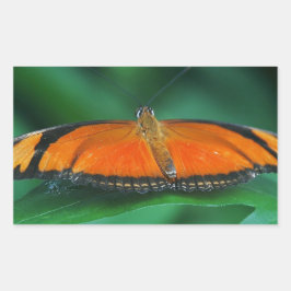 Helle Orange und schwarze Schmetterlinge auf der l Rechteckiger Aufkleber