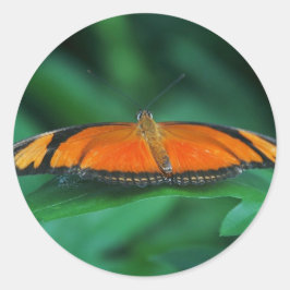 Helle Orange und schwarze Schmetterlinge auf der l Runder Aufkleber