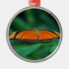 Helle Orange und schwarze Schmetterlinge auf der l Silbernes Ornament