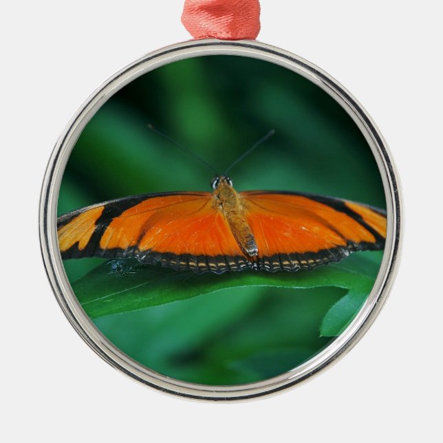 Helle Orange und schwarze Schmetterlinge auf der l Silbernes Ornament (Vorne)