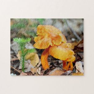 Helle Orange Wild Mushroom Familienlandschaft Puzzle