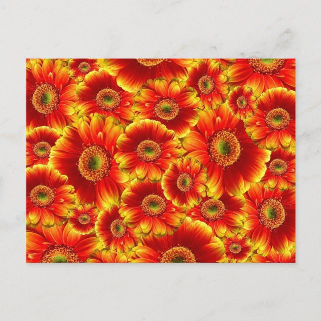 Helle orangefarbene Blumen Postkarte (Vorderseite)