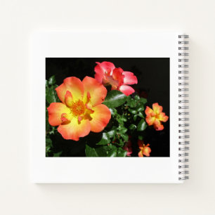 Helle orangefarbene Rosen - Spiralblock mit dunkle Notizbuch