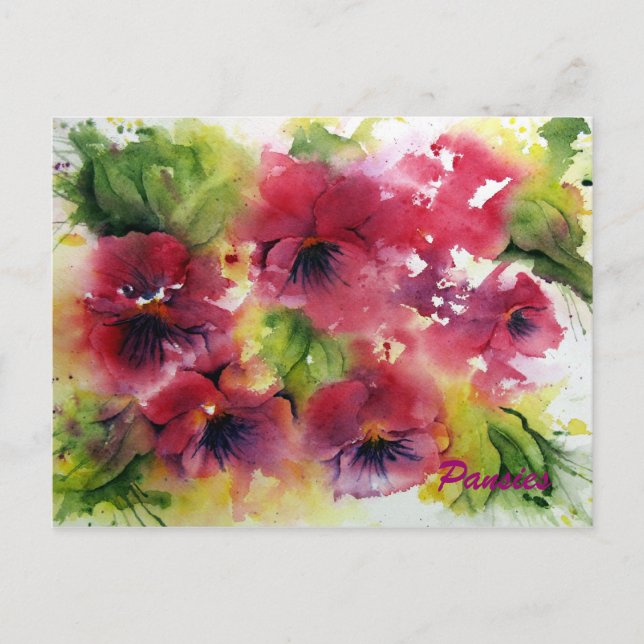 Helle Pansy Postcard Postkarte (Vorderseite)