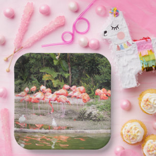 Helle rosa Flamingo-Herde tropische Illustration Pappteller