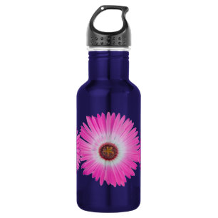 Helle rosa Gerber-Daisy-Blüte in voller Blüte Trinkflasche