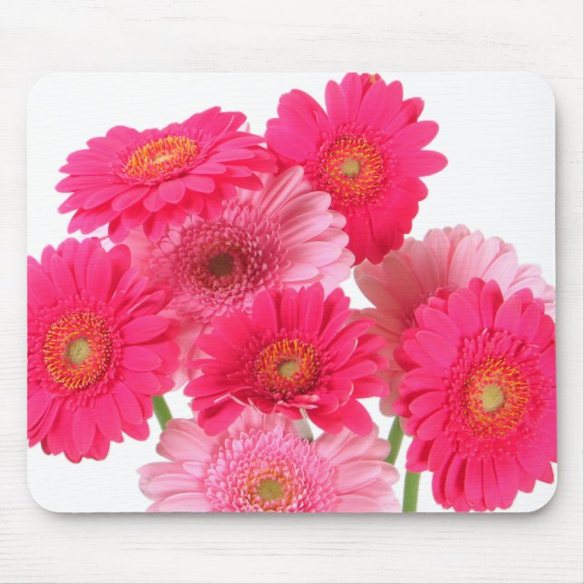 Helle rosa Gerbera-Gänseblümchen Mousepad (Vorne)