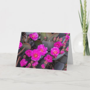 Helle rosa Kaktusblüte   Ich denke an Dich individ Karte