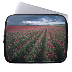 Helle rosa und rote Tulpen leuchten unter dunklen  Laptopschutzhülle