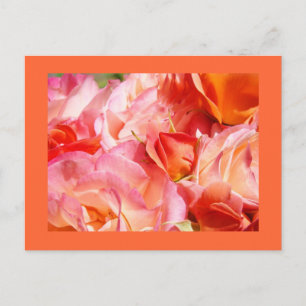 Helle Rose Bouquet Postkarten Rose Blume Blumenstr