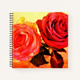 Helle Rose Notizbuch