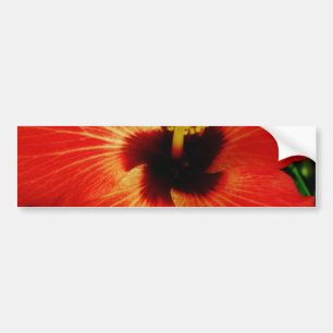 Helle Rot-Orange-Hibiskus-Blume Autoaufkleber