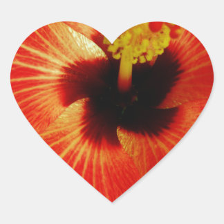 Helle Rot-Orange-Hibiskus-Blume Herz-Aufkleber