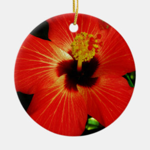 Helle Rot-Orange-Hibiskus-Blume Keramikornament