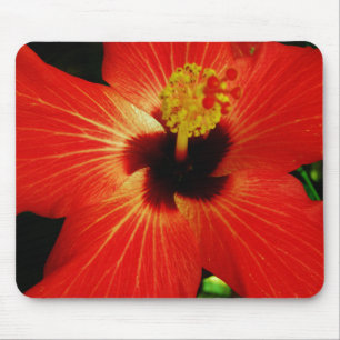 Helle Rot-Orange-Hibiskus-Blume Mousepad