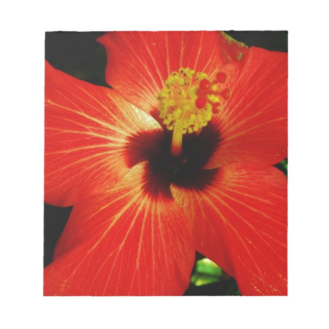 Helle Rot-Orange-Hibiskus-Blume Notizblock (Vorderseite)