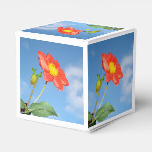 Helle rote Erdbeerblütenblume Geschenkschachtel
