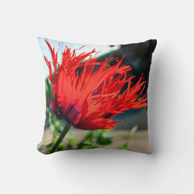 Helle Rote Mohnblume Blume Kissen (Vorderseite)