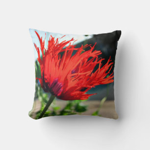 Helle rote Mohnblume Kissen