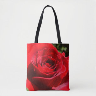 Helle Rote Rose Blume Schöne Blumenpracht