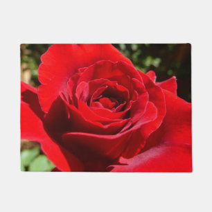 Helle Rote Rose Blume Schöne Blumenpracht Fußmatte